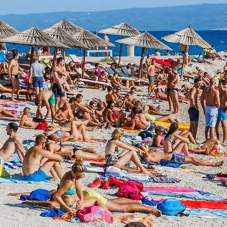 Apartamento With Wifi - 15541 *