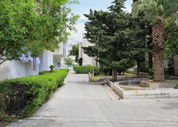 With Wifi - 15541 * Split